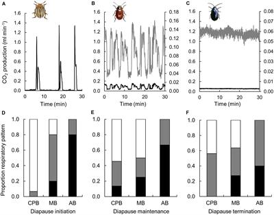 The Diapause Lipidomes of Three Closely Related Beetle Species Reveal Mechanisms for Tolerating Energetic and Cold Stress in High-Latitude Seasonal Environments